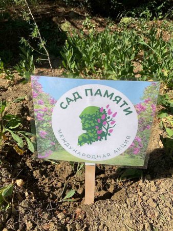 МБОУ «ЯС(К)Ш» присоединилась к Международной акции "Сад Памяти"
